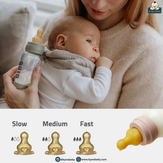Bibs Baby Bottle Nipple Slow Flow 2 packs