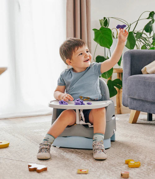 Home & Go Bears Booster Seat