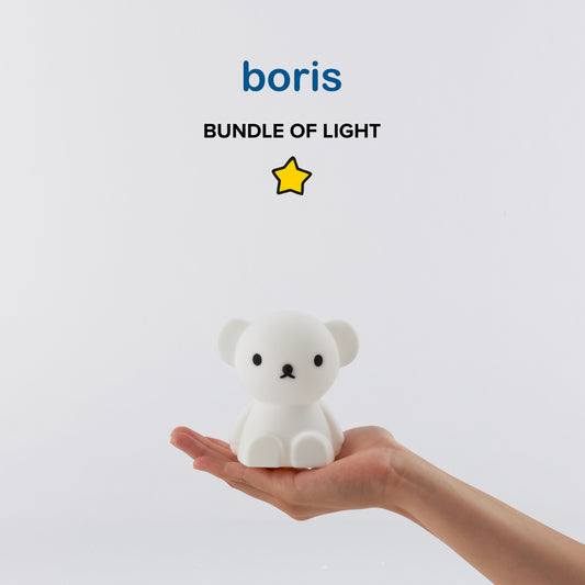 Boris Bundle of Light