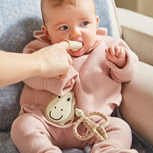 GiraffeTeether starter set