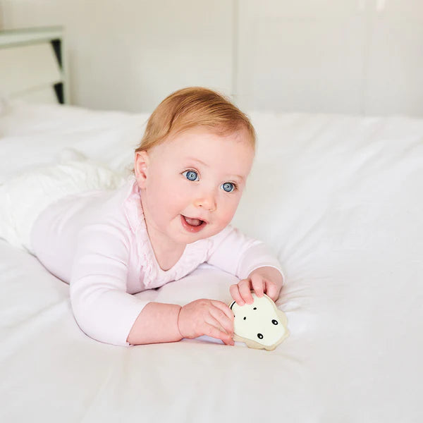 GiraffeTeether starter set