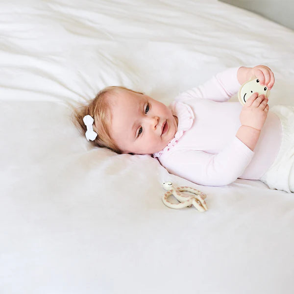 GiraffeTeether starter set