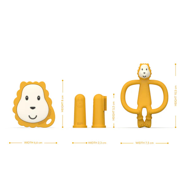 LionTeether starter set