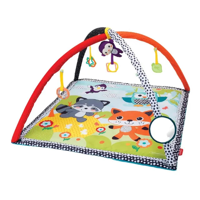 Pond Pals Activity Gym & Play Mat