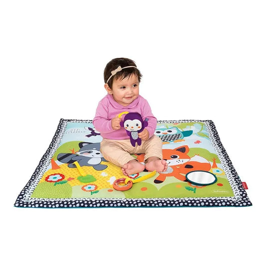 Pond Pals Activity Gym & Play Mat