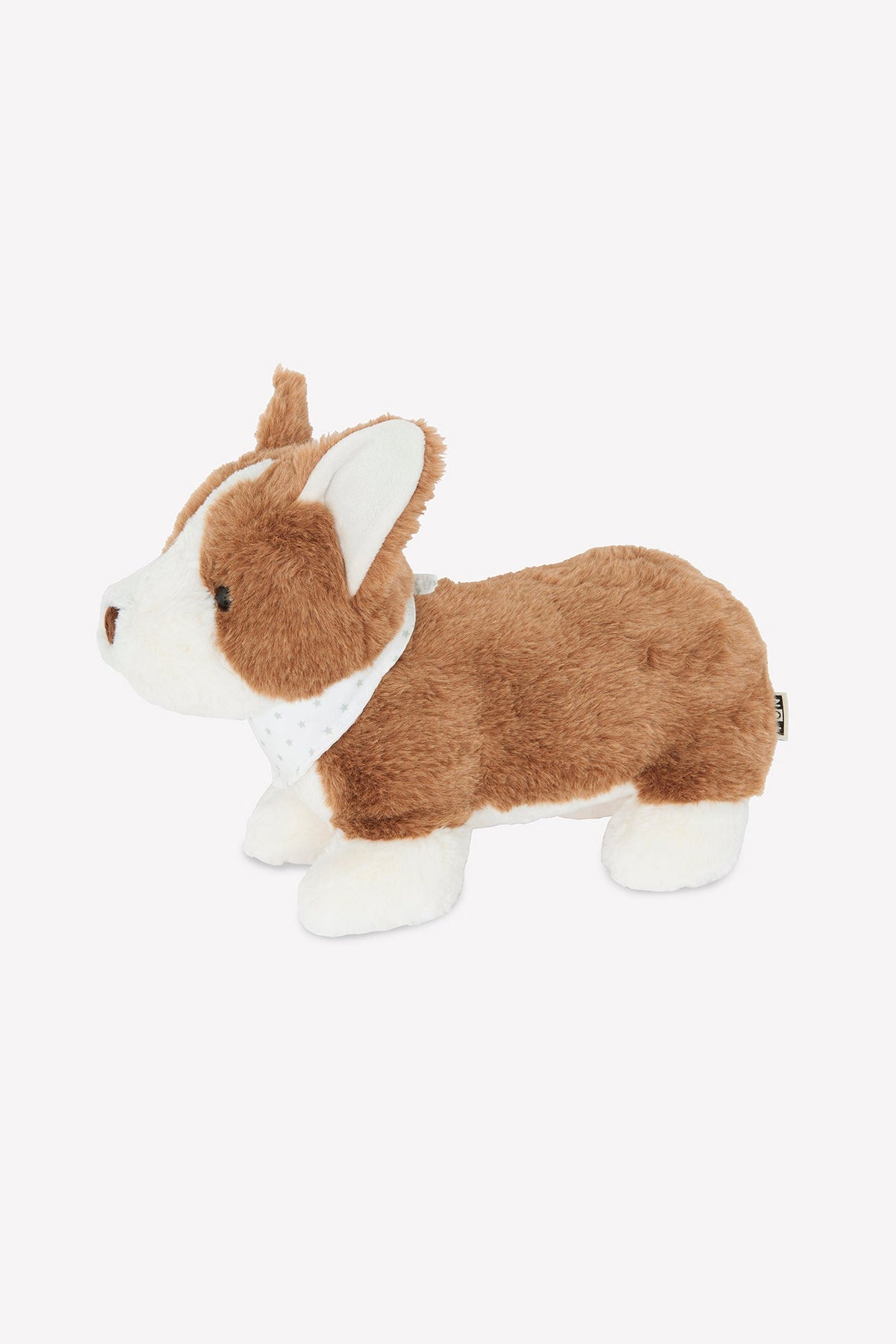 Plush
Corgi Bernie