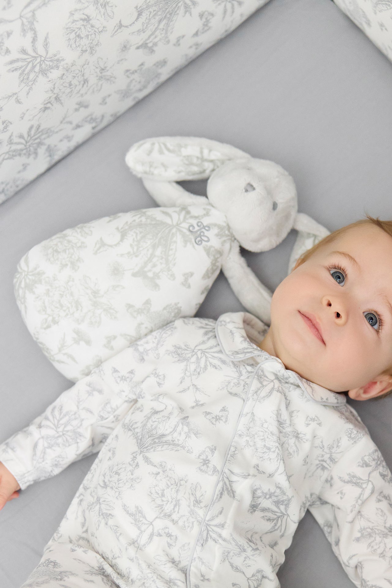 LAPIN TDJ VEILL