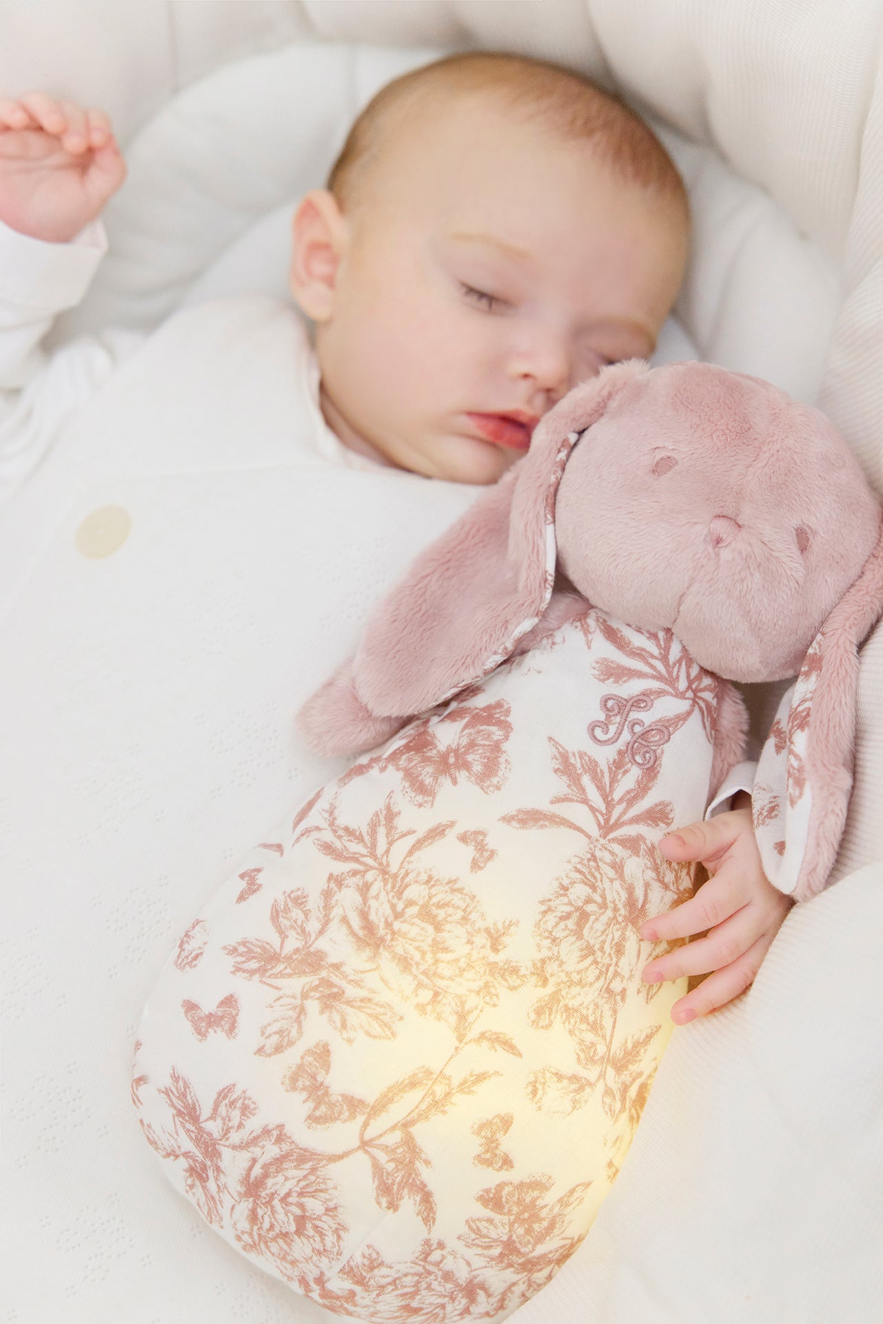 LAPIN TDJ VEILL