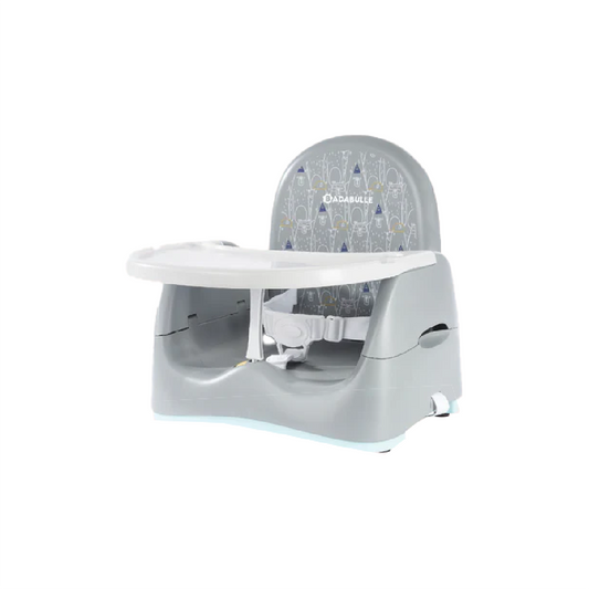 Home & Go Bears Booster Seat