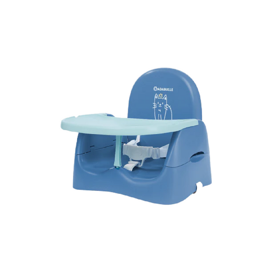 Booster Seat Cat