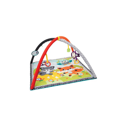 Pond Pals Activity Gym & Play Mat