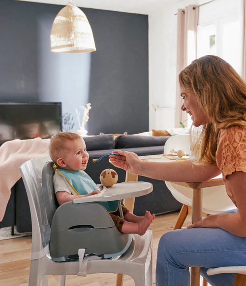Home & Go Bears Booster Seat