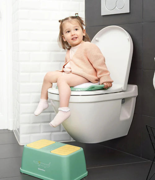 Toilet reducer with handles