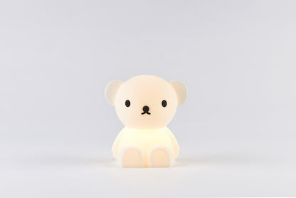 Boris Bundle of Light