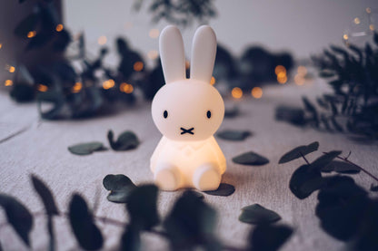 Miffy Bundle of Light