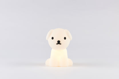 Snuffy Bundle of Light