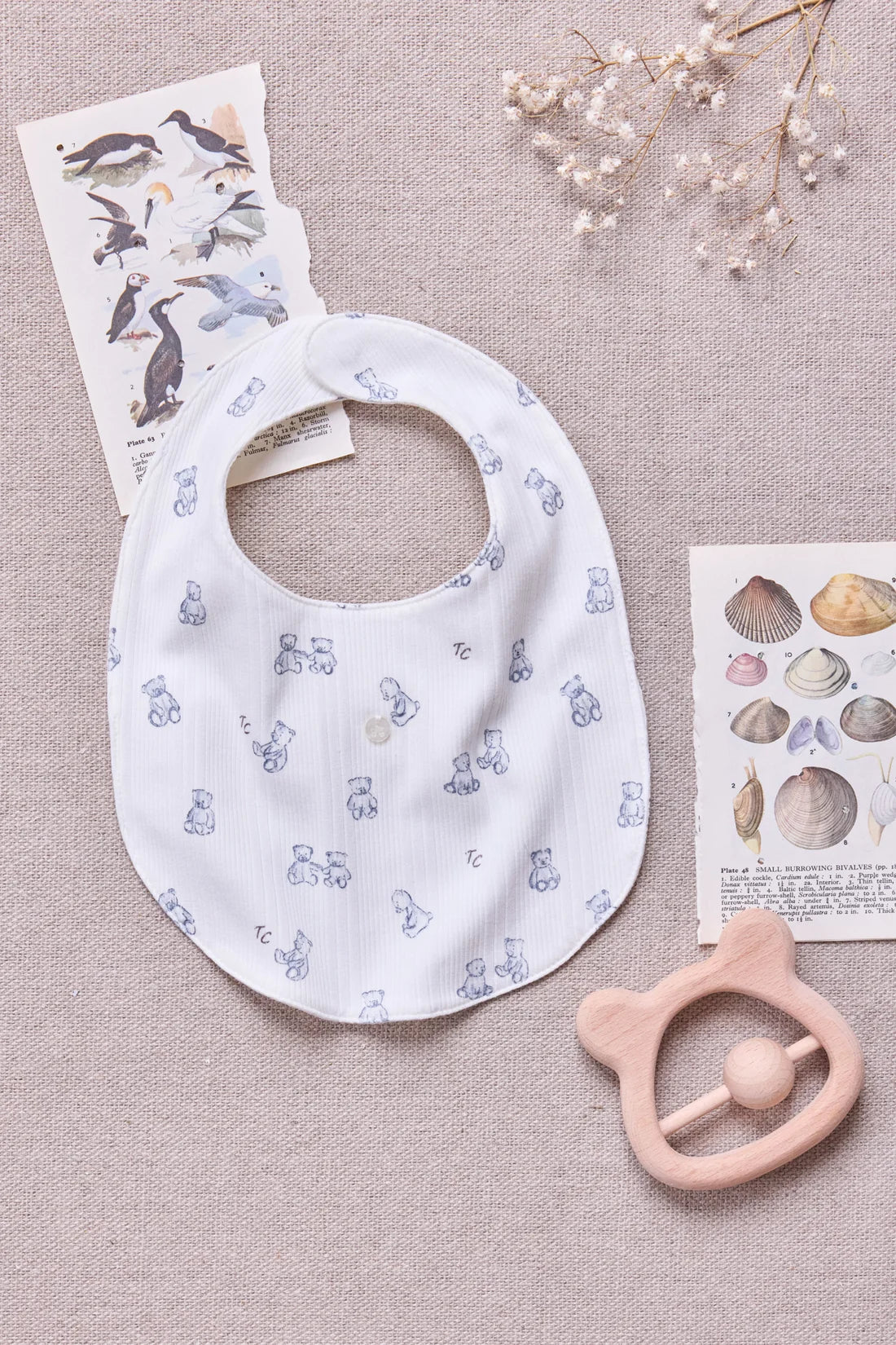 Bib Ecru cotton Print teddy bear