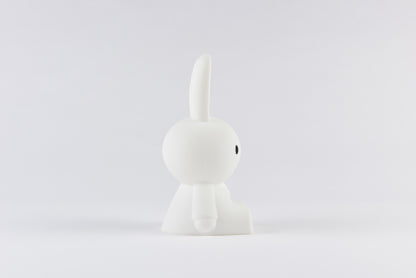 Miffy First Light