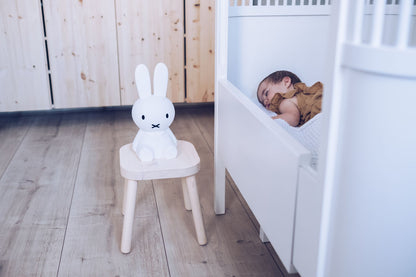 Miffy First Light