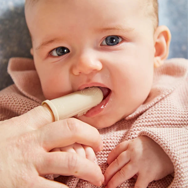 GiraffeTeether starter set