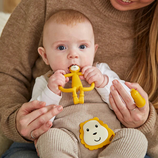 LionTeether starter set