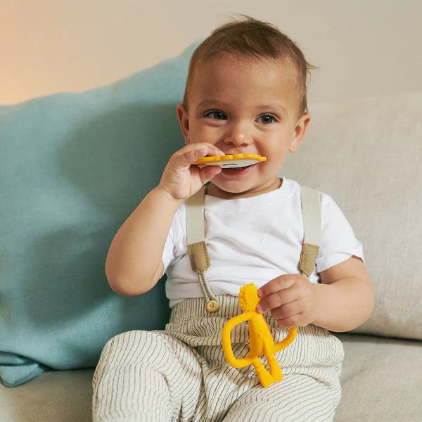 LionTeether starter set