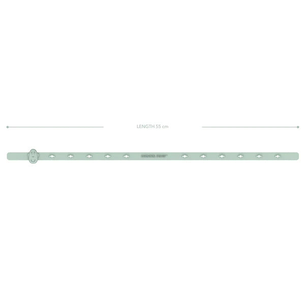 Mint Green Multi-Use Product Holder