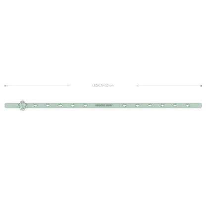 Mint Green Multi-Use Product Holder