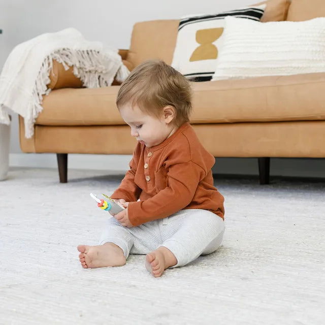 Music & Light Pretend Remote
Control