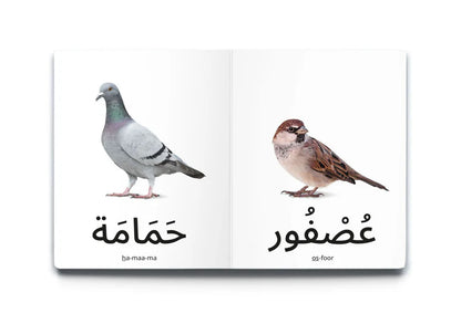 My First Words - Birds (الطُّيُور)