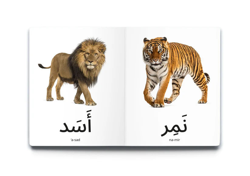 My First Words - Wild Animals (حَيَوَانَات البَرِّيَّة)