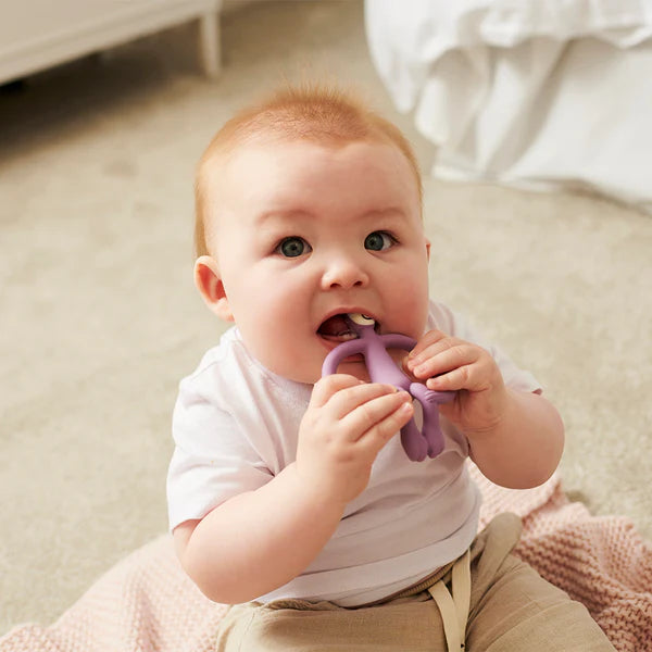 Purple Monkey Teether