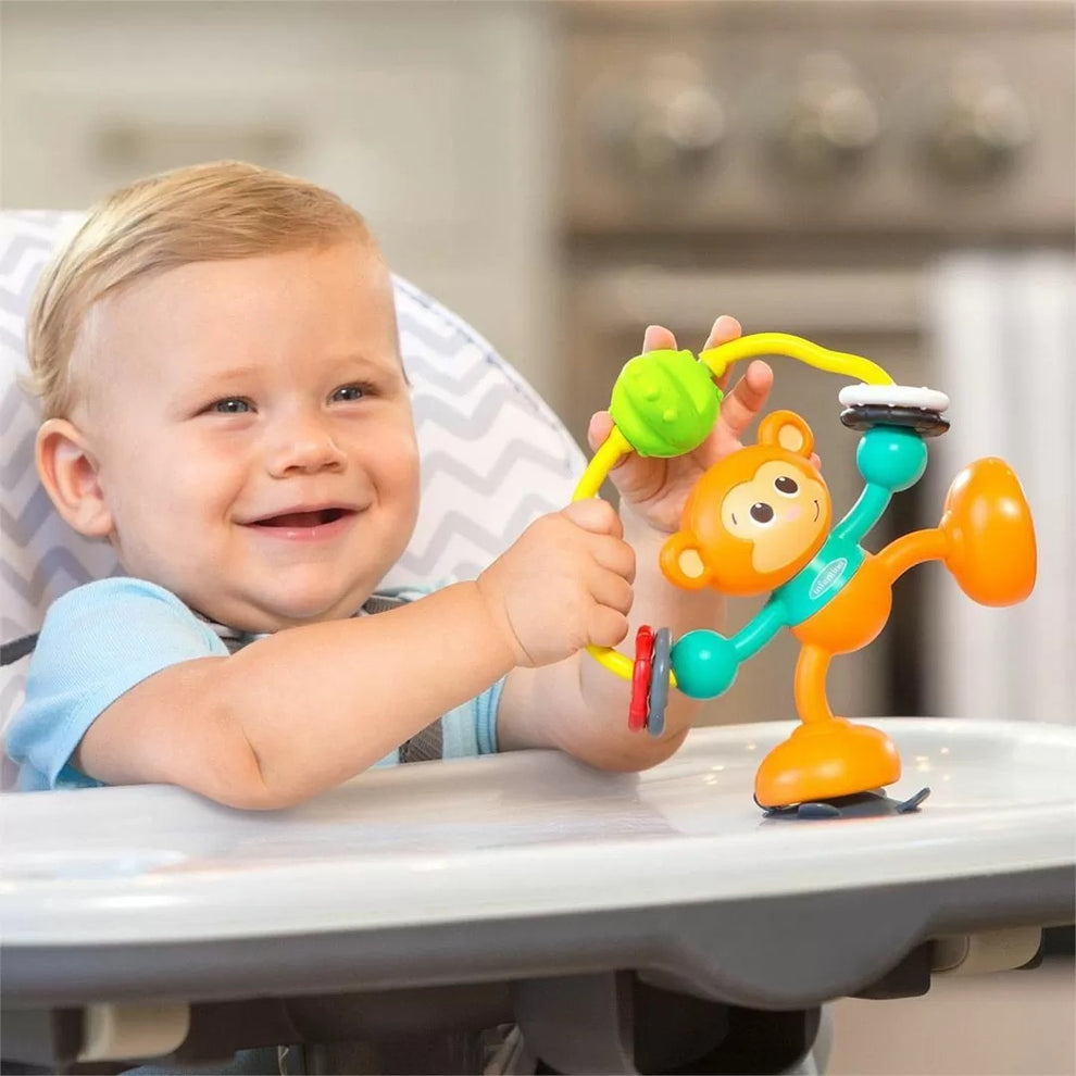 Stick and Spin High Chair Pal