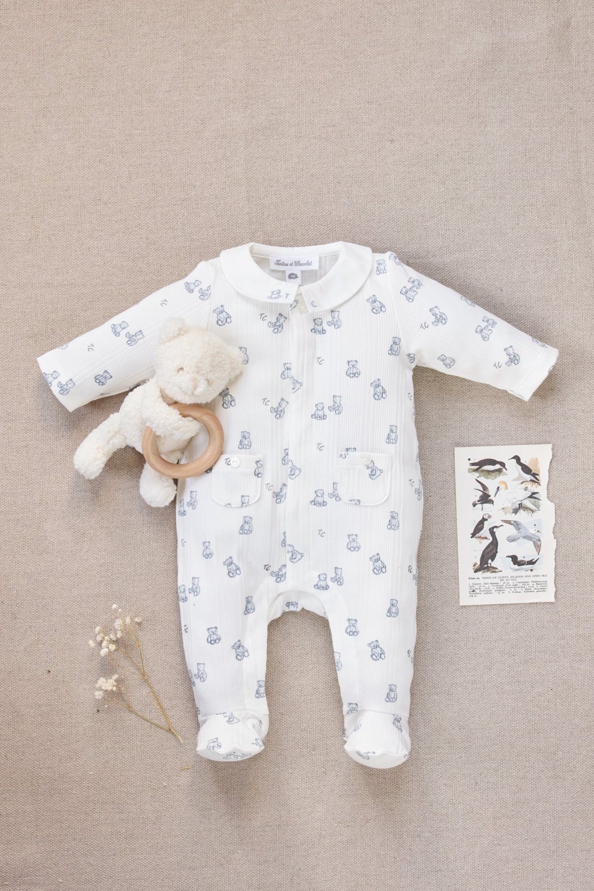 Pajamas
Ecru Print cotton bears
