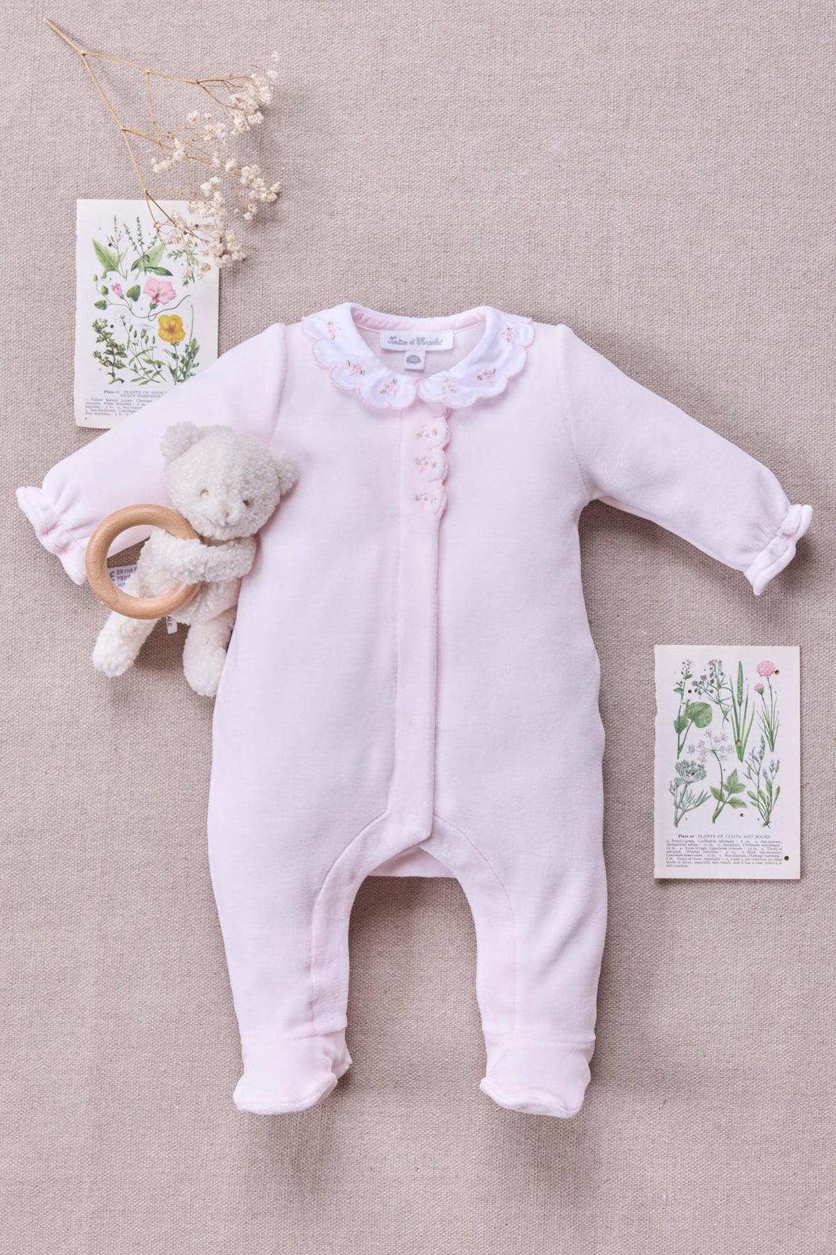 Pajamas
Pink Velvet Peter pan collar Scalloped