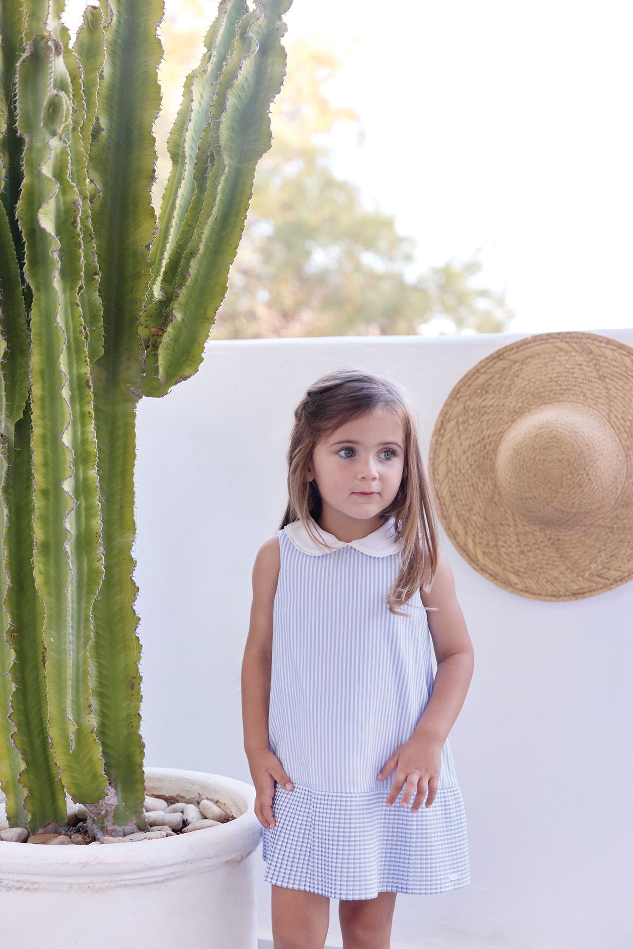 Dress
Cornflower Stripes Peter pan collar