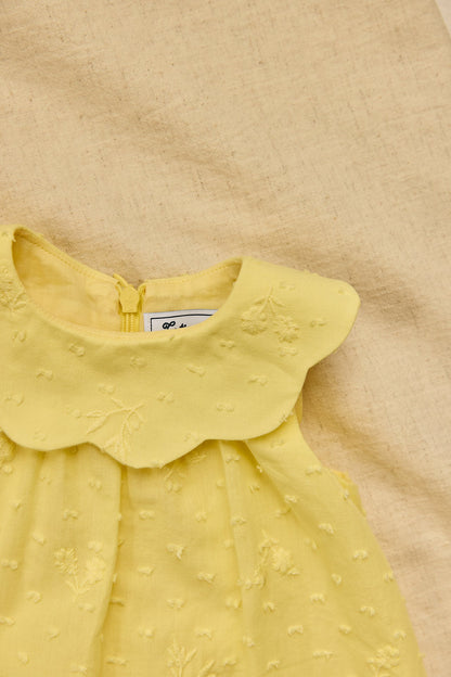 Dress
Citrus cotton Peter pan collar