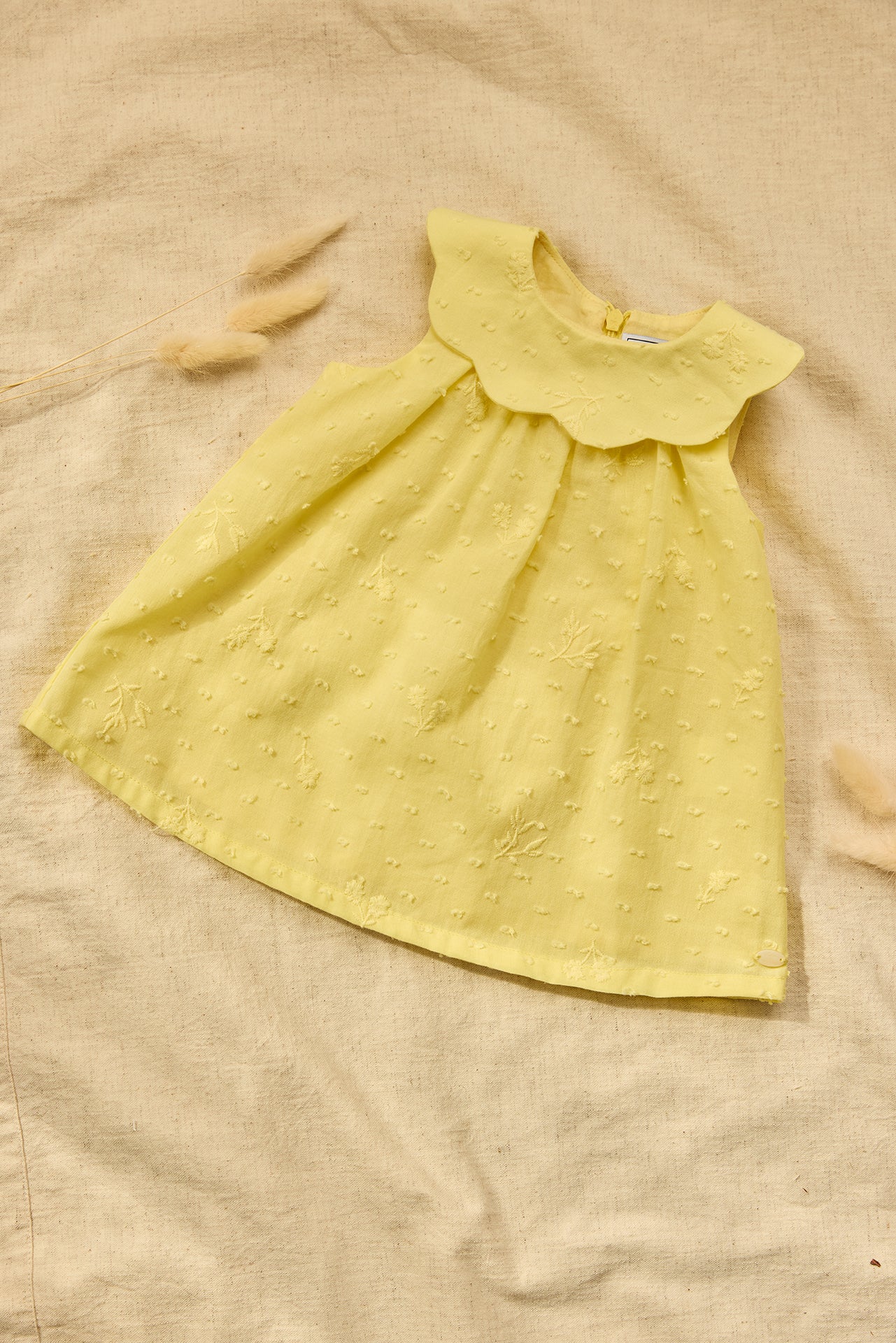 Dress
Citrus cotton Peter pan collar