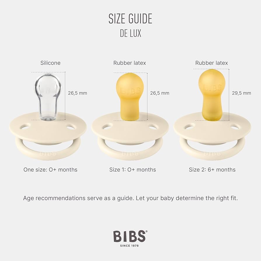 BIBS Pacifiers - De Lux Collection | BPA-Free Round Nipple | Silicone  | Set of 2 Blossom/Haze Color Premium Soothers |  One Size | 0-36 months