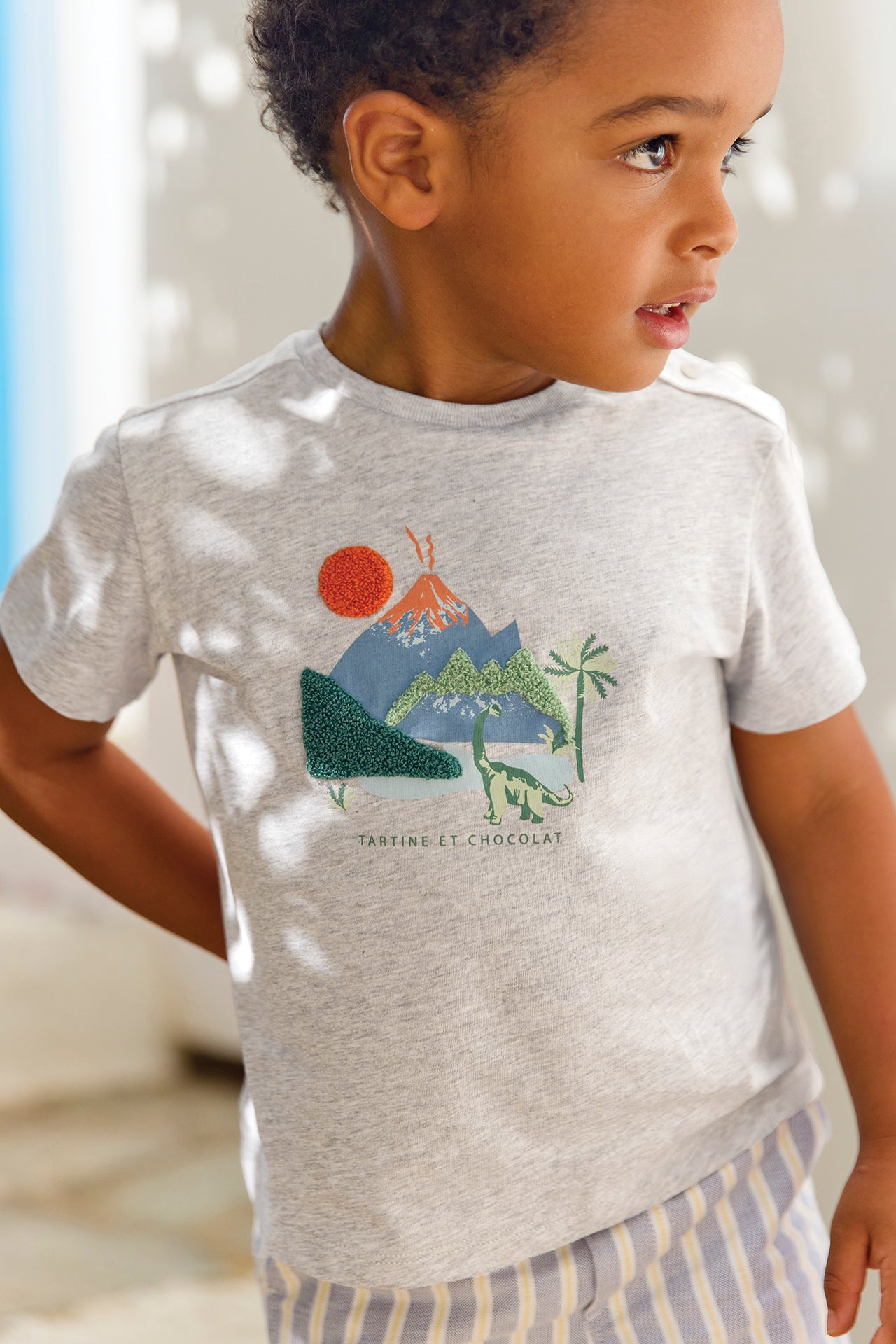 T-shirt
Grey explorer cotton