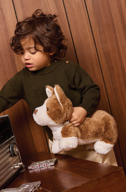 Plush
Corgi Bernie