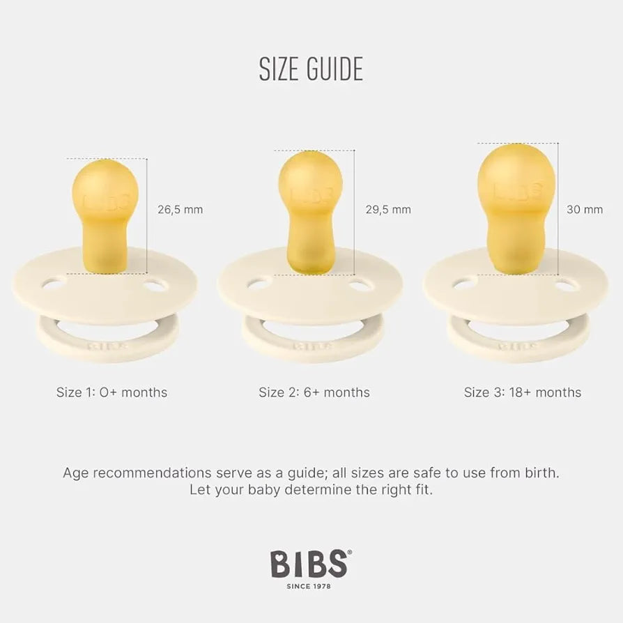 Bibs Pacifier Studio Colour Fusion Latex 2 Pack Size 1 (Cloud Iron Mix)