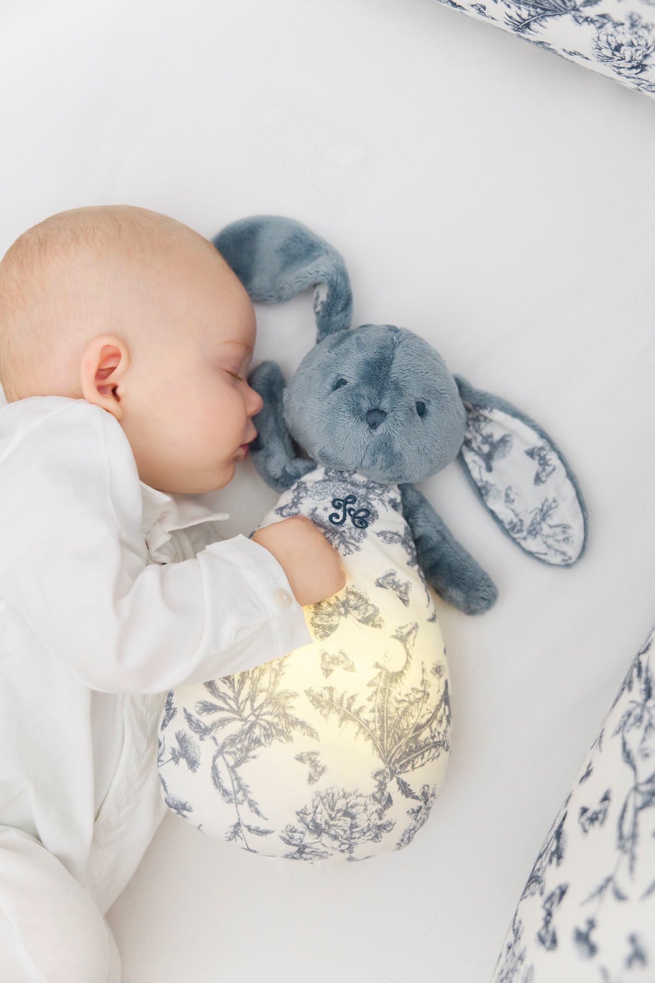 LAPIN TDJ VEILL