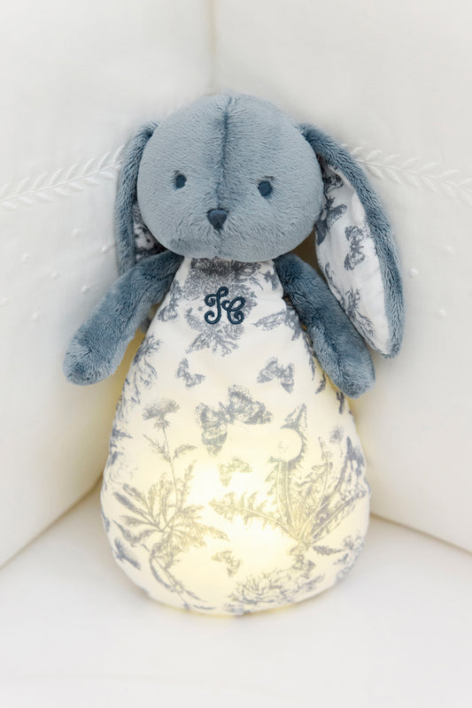 LAPIN TDJ VEILL