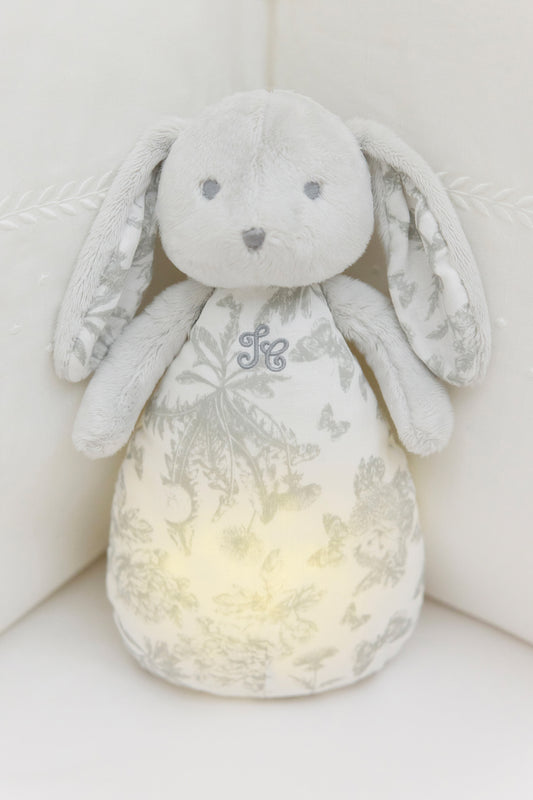 LAPIN TDJ VEILL