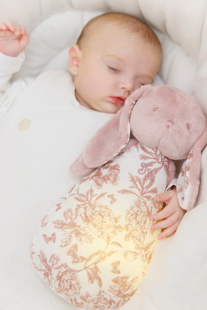 LAPIN TDJ VEILL